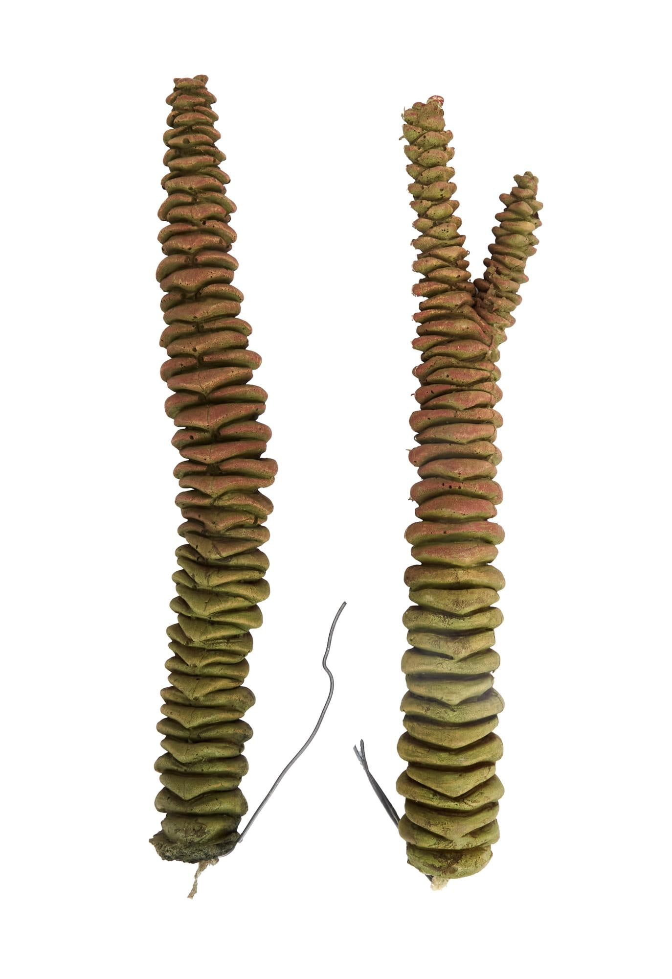 The Dark Crystal: Age of Resistance | Endless Forest Small Tube Plant Set Dressing Props: An original pair of small tube plant set dressing props used in the Stone-in-the-Wood and Endless Forest sets from the production of the television series The Dark Crystal: Age of Resistance (Netflix,