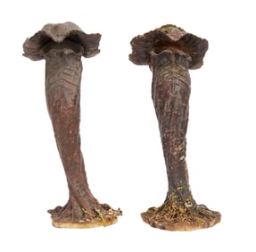 The Dark Crystal: Age of Resistance | Endless Forest Small Mushroom Tube Set Dressing Props