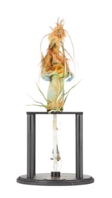 The Dark Crystal: Age of Resistance | Two-Eyed Stickler Puppet