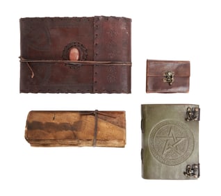 The Dark Crystal: Age of Resistance | Ha'rar Library Books (B)