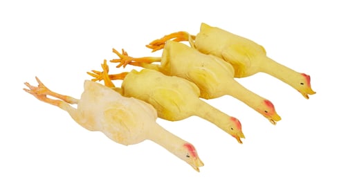 The Muppet Christmas Carol | Fozziwig Rubber Chickens