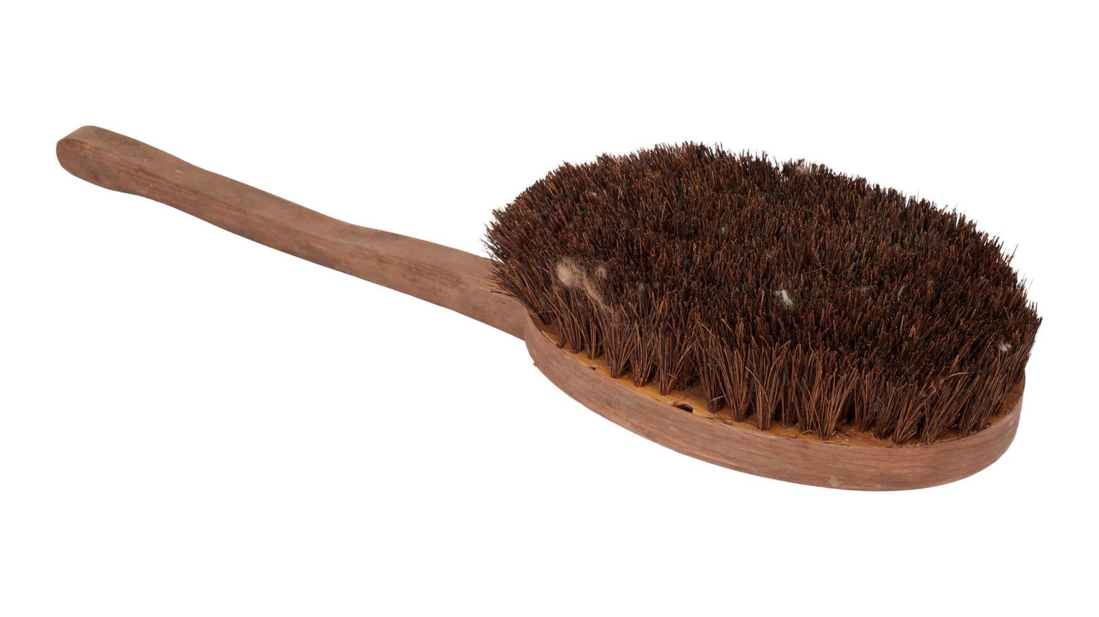 Muppets from Space | Sweetums - Bath Brush Prop: An original bath brush prop used by Sweetums in the production of the film Muppets from Space (Columbia Pictures, 1999) The brush is composed of wood and features hair-like bristles. This