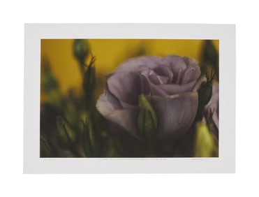 David Lynch | Signed 2012 Art Print