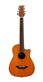 Joe Walsh | Applause AA-12 Mini 6-String Acoustic Guitar, Natural