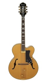 Joe Walsh | Analog Man Album Cover Epiphone Emperor Regent Hollow Body Guitar w/ CD