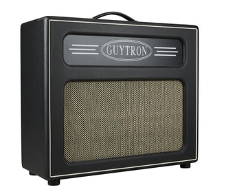 Joe Walsh | Guytron GT20 1x12 Guitar Combo Amplifier
