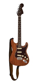 Joe Walsh | Fender American Pro Stratocaster Limited Edition Rosewood Neck Roasted Ash Body