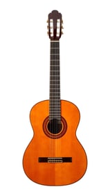 Joe Walsh | Fernandes Model 70 Classical Guitar