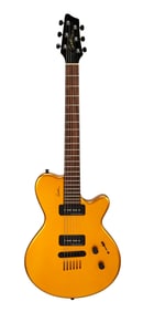 Joe Walsh | Stage Played Godin LG Electric Guitar, Gold Metallic With Photo