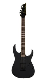 Joe Walsh | Ibanez RGT6 EXFX Electric Guitar, Black