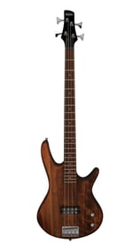 Joe Walsh | Ibanez GSR 100EX Electric Bass, natural