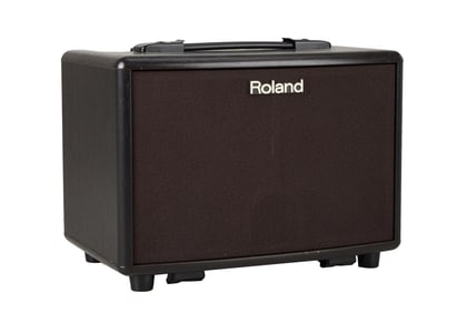 Joe Walsh | Roland AC-33 Acoustic Chorus Amplifier