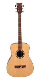Joe Walsh | Martin LXM Tres Acoustic, Natural