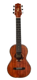 Joe Walsh | Mele Custom Series Ukulele