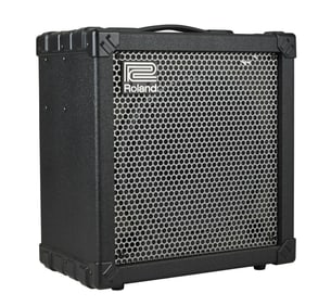 Joe Walsh | Roland Cube 60 Guitar Combo Amplifier