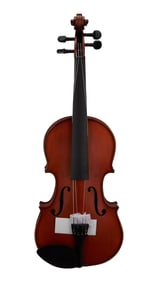 Joe Walsh | Recital REV-1 Full Size Violin, China