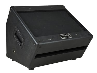 Joe Walsh | Tonesonics Tonewedge 1x12 Speaker Wedge