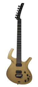 Joe Walsh | Parker Fly Deluxe Electric Guitar Gold Metallic With Photo