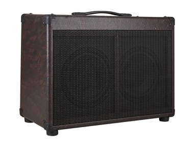 Joe Walsh | Ultrasound Pro 200 Acoustic Guitar Amplifier
