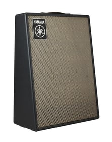 Joe Walsh | Yamaha Wedge TA-20 Guitar Combo Amplifier