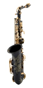 Joe Walsh | Slade WSS-896 Saxophone, Black