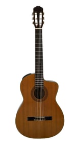 Joe Walsh | Stage Played Takamine CP-132SC Classical Guitar, Natural With Photo