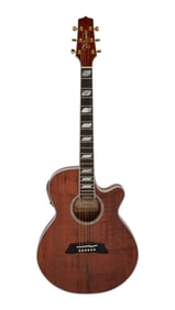 Joe Walsh | Takamine TSP178ACK Thinline Acoustic Guitar, Koa