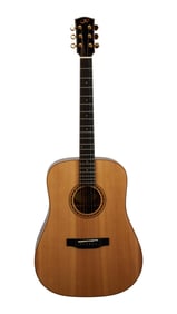 Joe Walsh | Bedell TB-18-G Acoustic Guitar