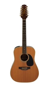 Joe Walsh | Takamine FP400S 12-String Acoustic Guitar