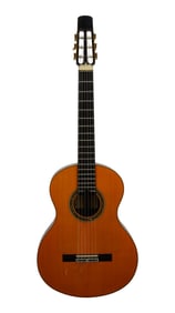 Joe Walsh | Steve Klein Classical Acoustic Guitar