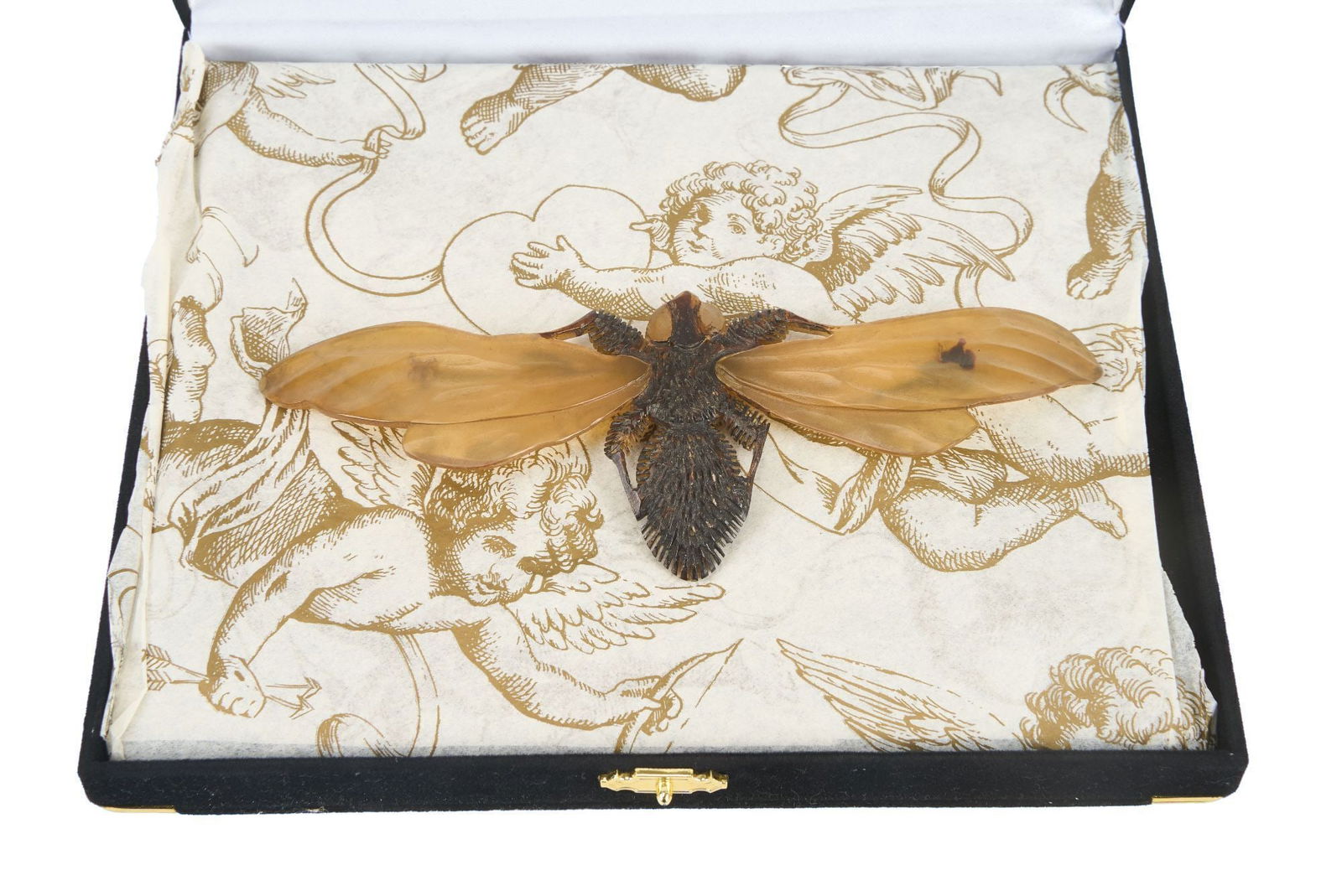 Whoopi Goldberg | Georges Pierre Art Nouveau Moth Brooch: A large Art Nouveau Georges Pierre carved horn moth brooch signed to the verso. 2.25 x 6.25 inches Box 1.75 x 7.5 x 6.5 inches From the Collection of Whoopi Goldberg