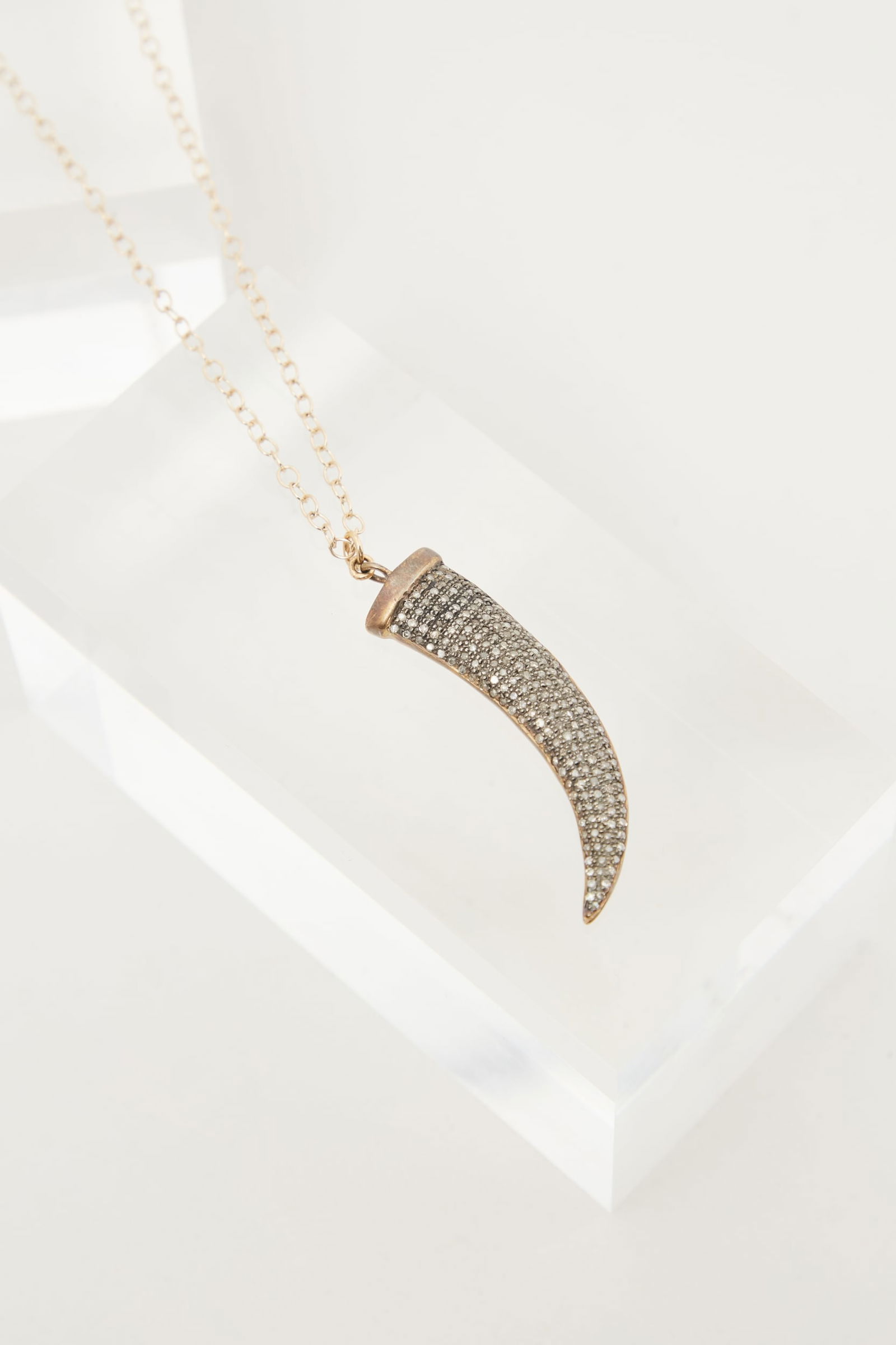 Gwyneth Paltrow | 14k Yellow Gold Horn Pendant Necklace (1 of 8)