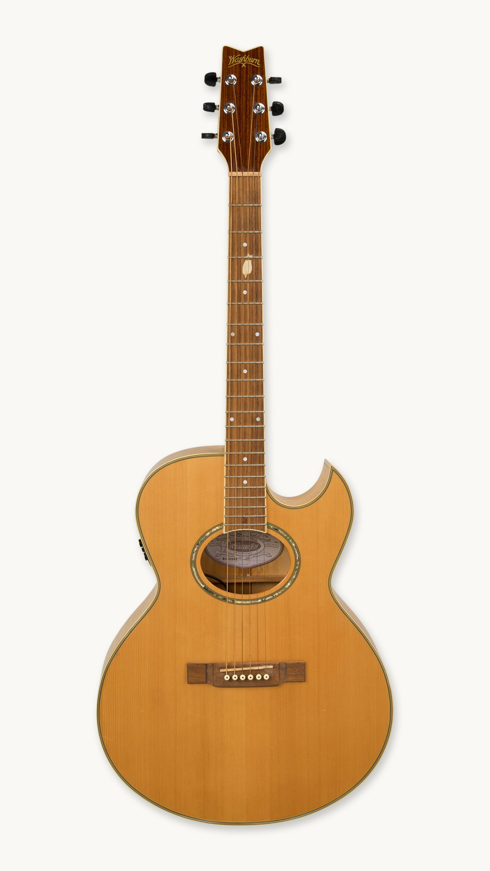 Gwyneth Paltrow | Washburn EA20SDL Acoustic Guitar Natural (1 of 7)