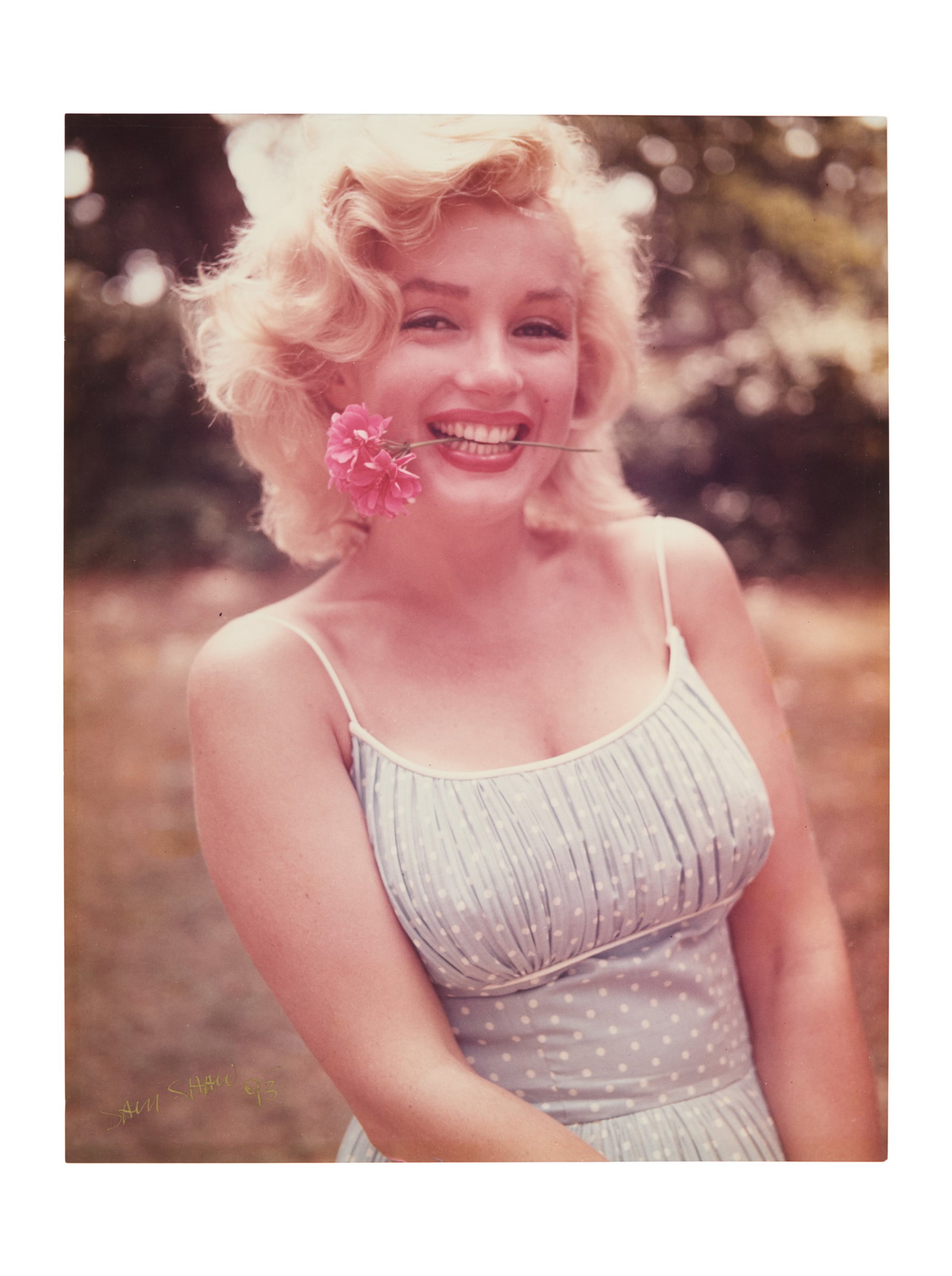 Marilyn Monroe | 1957/1993 Color Photograph Signed by Sam Shaw: A 1993 later print; glossy finish, Kodak paper, depicting the now well-known image of the smiling star wearing a light blue polkadot dress with a pink carnation in her mouth, signed in gold metallic i