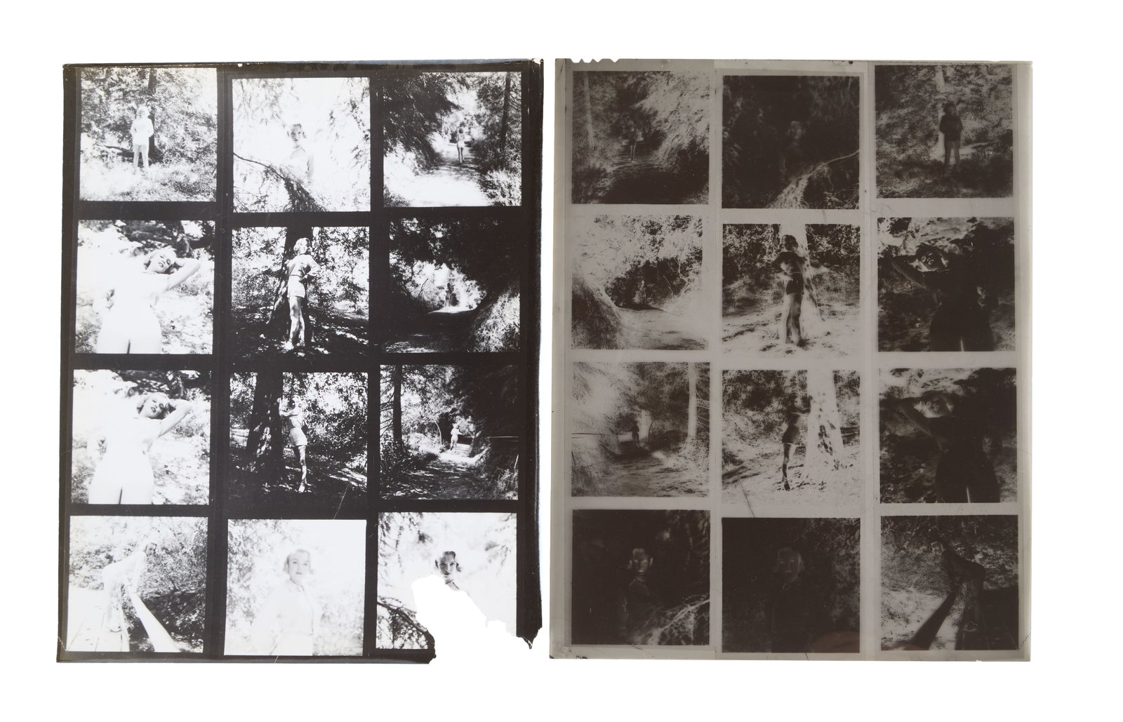 Marilyn Monroe | 1950/1960s Black and White Contact Sheet and Negative by Ed Clark: A circa 1960s later print; glossy finish, weight-and-a-half paper, depicting twelve images of the then starlet wearing white shorts and a blouse as she poses in Griffith Park in Los Angeles; with its 
