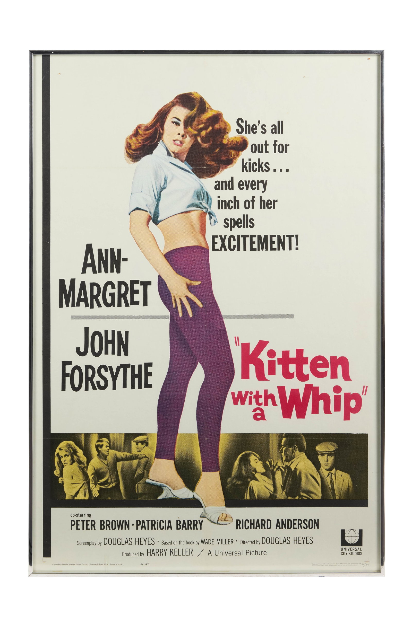 Ann-Margret | 1964 One-Sheet Movie Poster from "Kitten with a Whip": Universal, 1964; from the now camp classic that co-starred a hapless John Forsythe; framed; on display in the star's home theatre for many years.