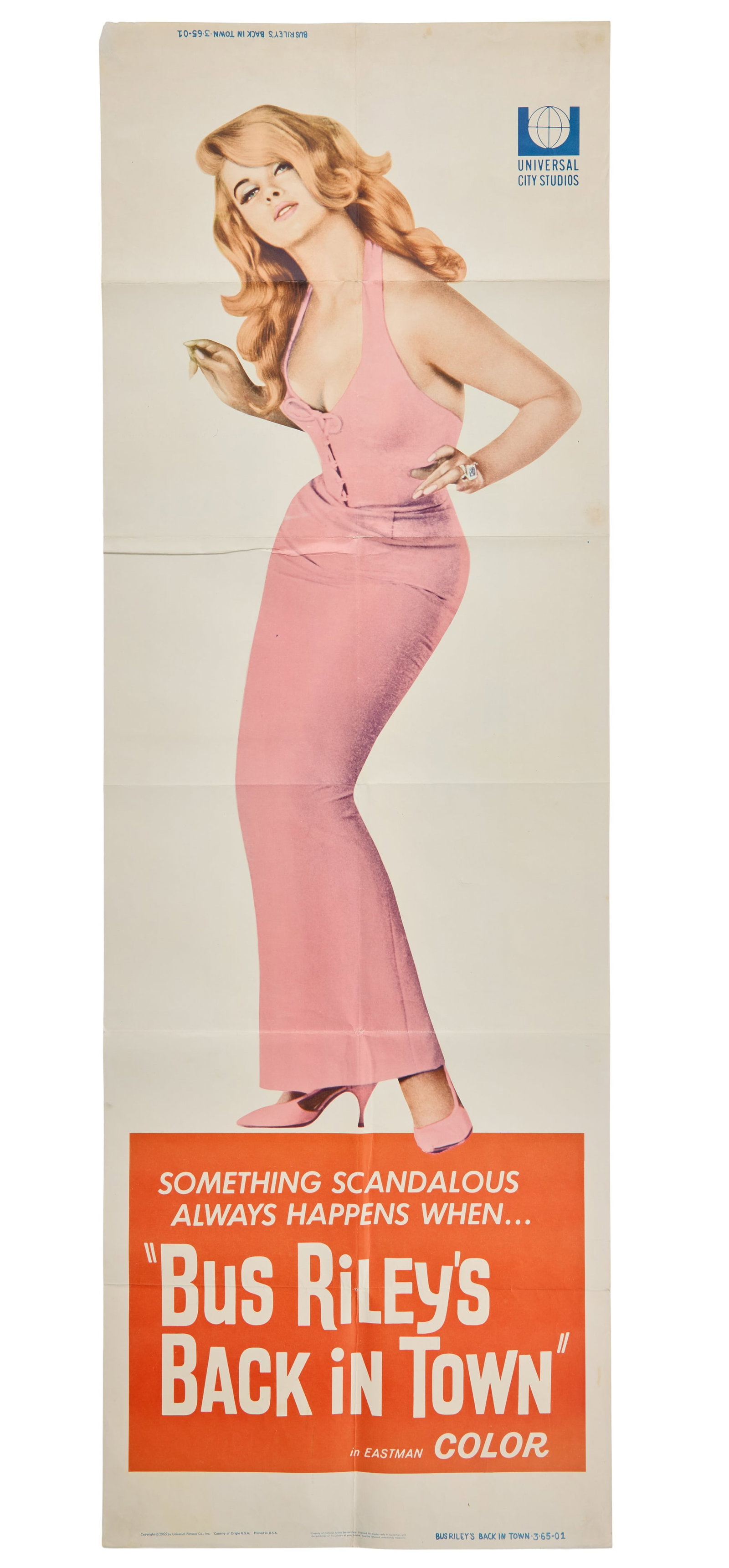 Ann-Margret | 1965 Rare Door Panel Movie Poster from "Bus Riley's Back in Town" (1 of 2)