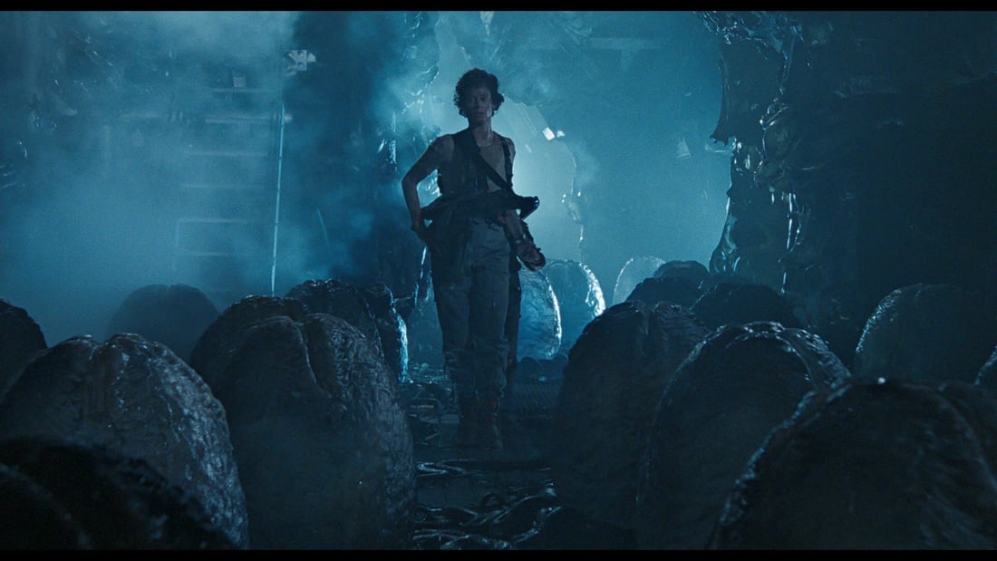 Aliens | Xenomorph Egg Prop - 2
