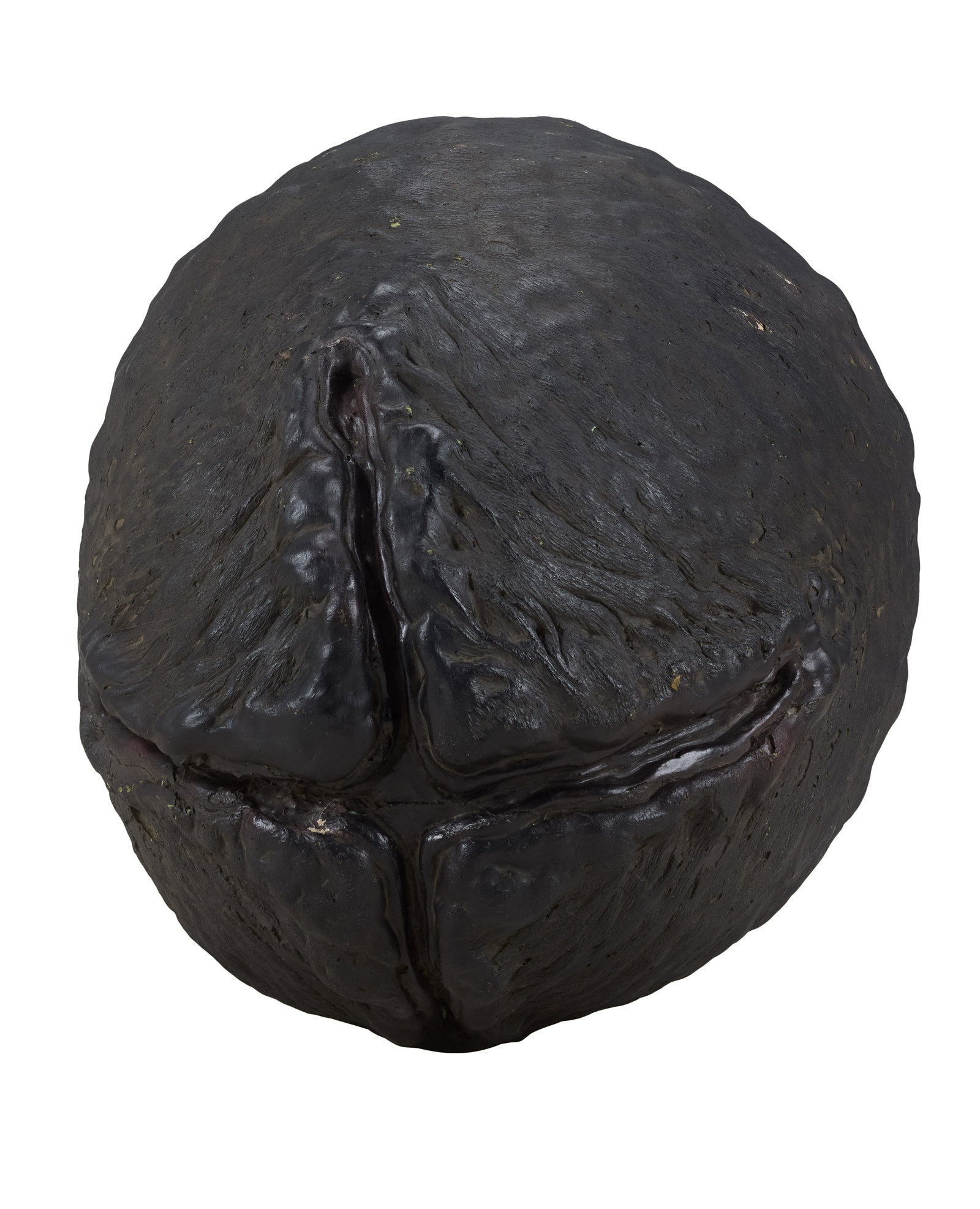 Aliens | Xenomorph Egg Prop - 4