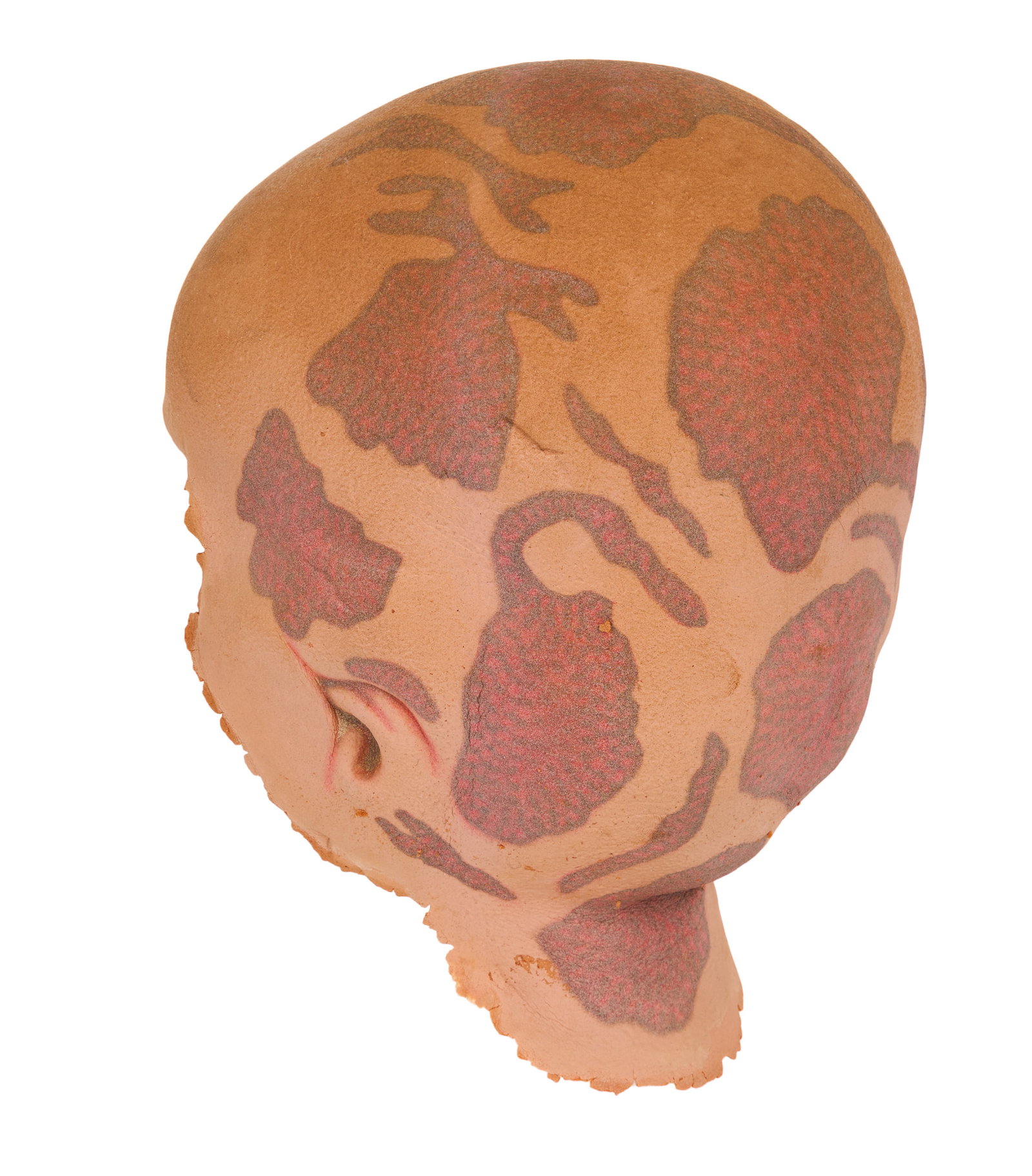 Alien Nation | "Albert Einstein" Head Appliance - 3
