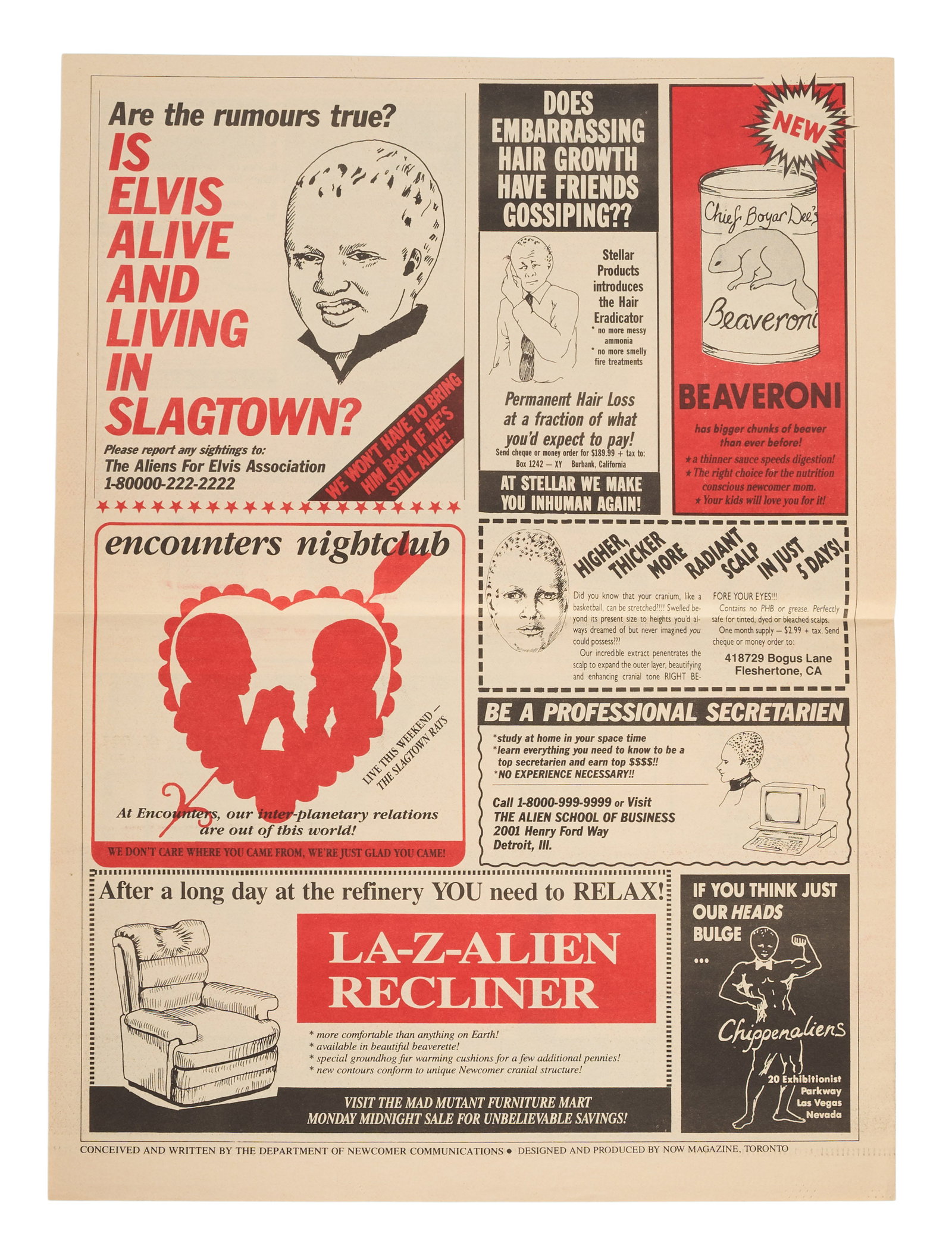 Alien Nation | "Albert Einstein" Head Appliance - 6