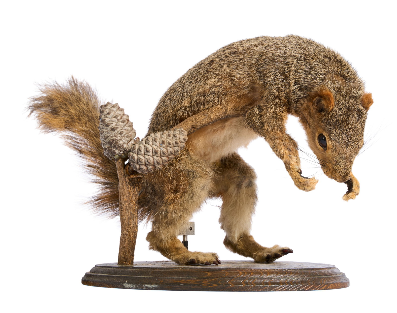 The Even Stevens Movie | Killer Squirrel Puppet: A squirrel animatronic featured in the Disney Channel Original Movie The Even Stevens Movie (Disney, 2003). The squirrel made an appearance when the Stevens family, believing themselves stranded on a