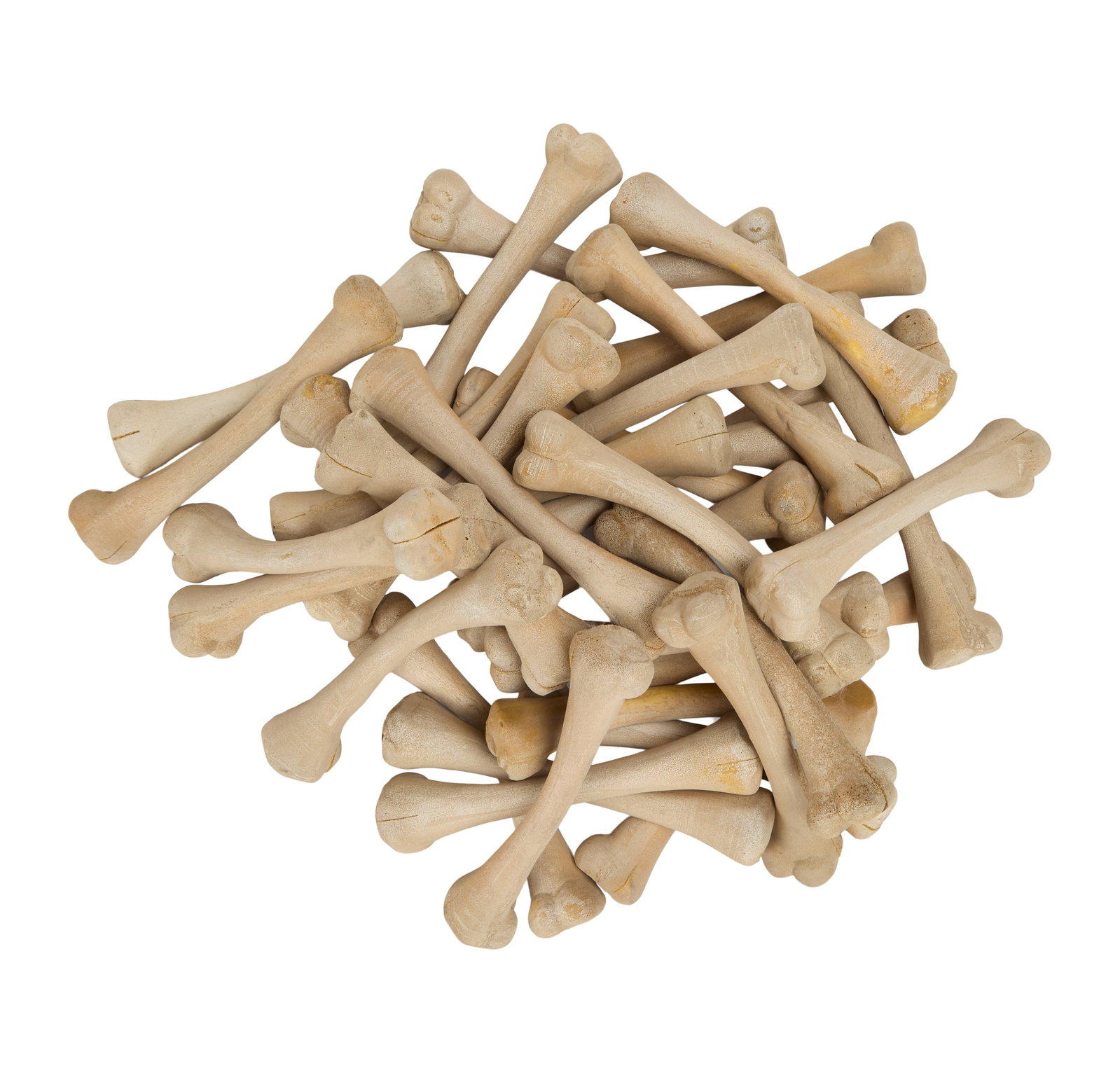 The Flintstones in Viva Rock Vegas | Dinosaur Bone Props: A collection of 35 dinosaur bone props from the production of the prehistoric prequel The Flintstones in Viva Rock Vegas (Universal, 2000). Each is comprised of foam that has been molded, carved, and
