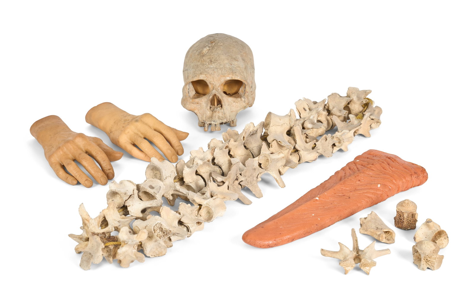 SFX Props | Kaiju Tongue, Bones, Severed Hands: Various special effects props from multiple productions of filmmaker Sompote Sands. Includes a resin human skull, a large necklace of resin vertebrae (with some additional loose resin vertebrae
