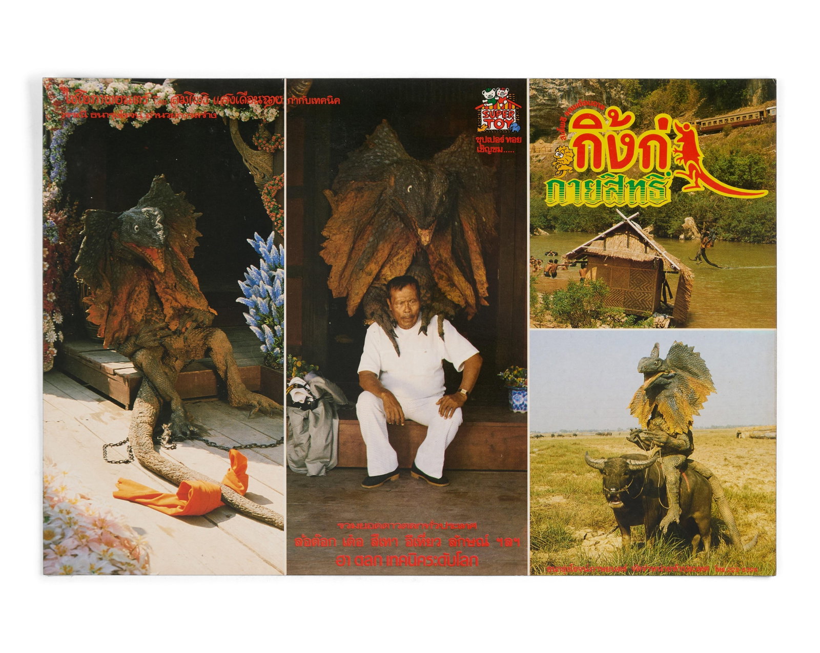 Magic Lizard | Lobby Cards (12) - 3