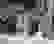 item-321371=5