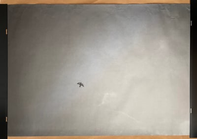 Felix Gonzalez-Torres Untitled 2017