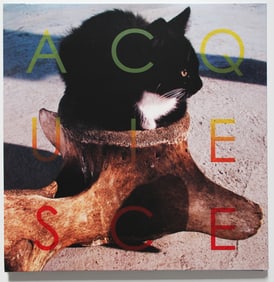 Eddie Peake Vinyl LP album cover Individually screen printed by Eddie Peake 2014