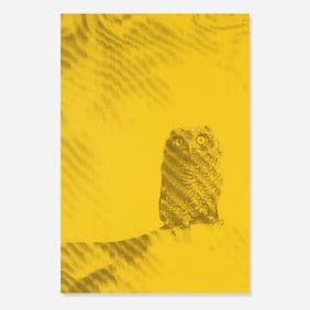 Ryan McGinley Owl poster 2011