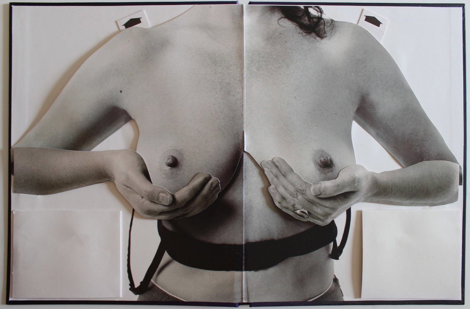 Sophie Calle Untitled 2008: Sophie Calle Untitled 2008 Dimensions: 10.7 H x 17 W in. Pop up book